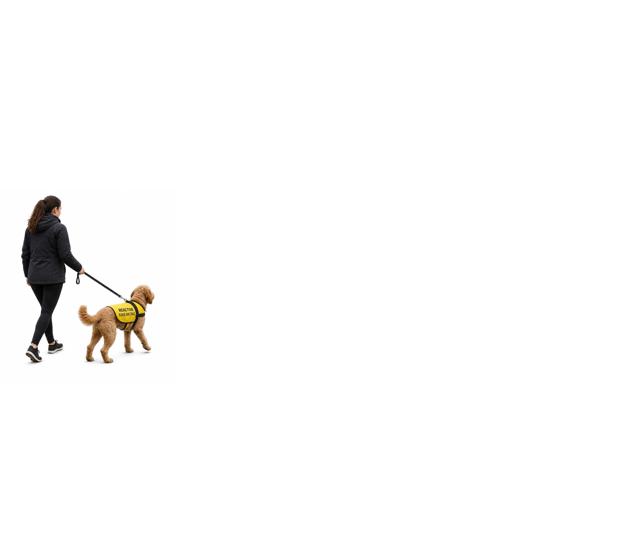 Yellow Dog Wear: Visual Signals That Help Dogs Feel Safe