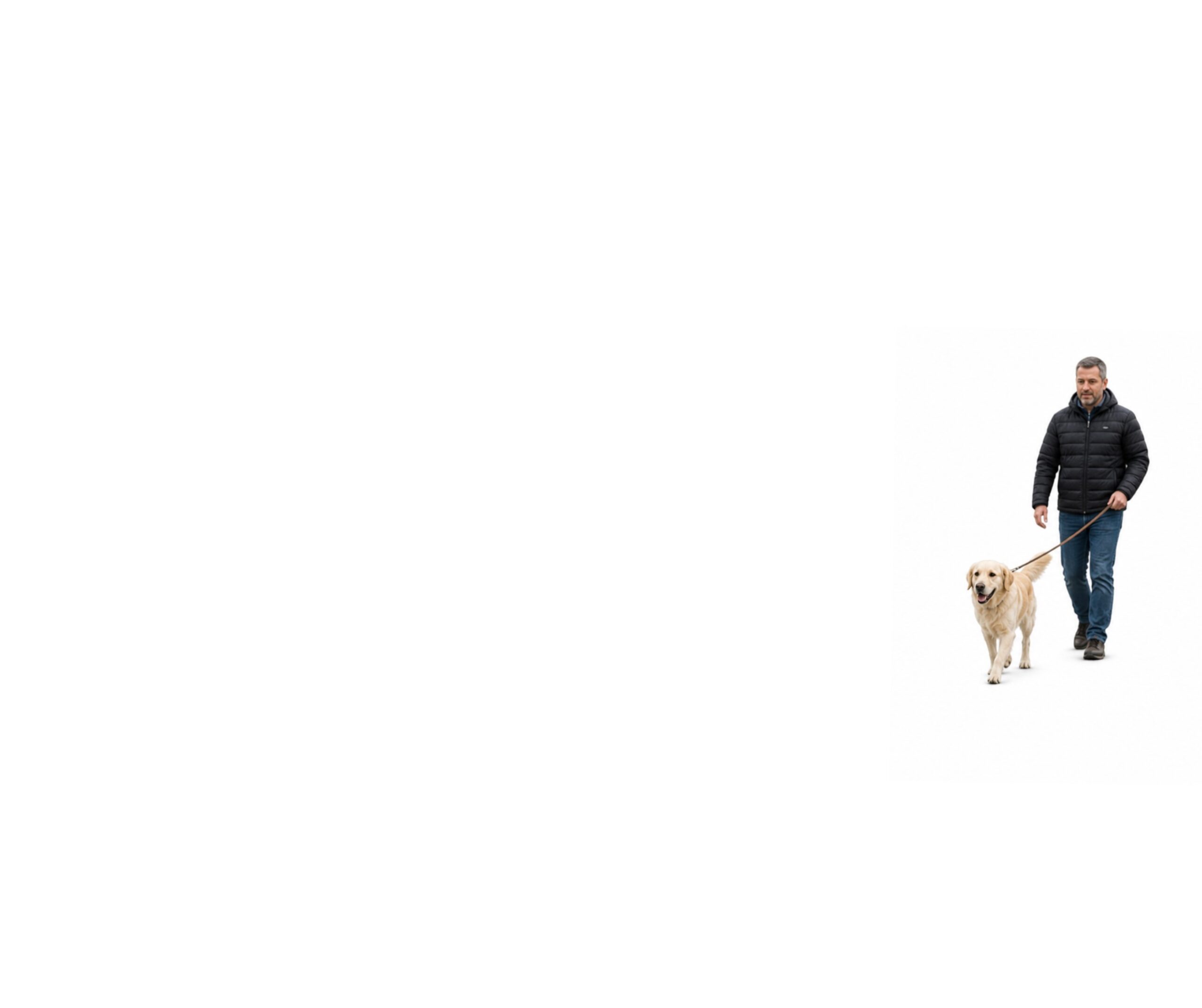 Walking an Anxious Dog When Off‑Lead Dogs Approach: A Practical How‑To Guide 