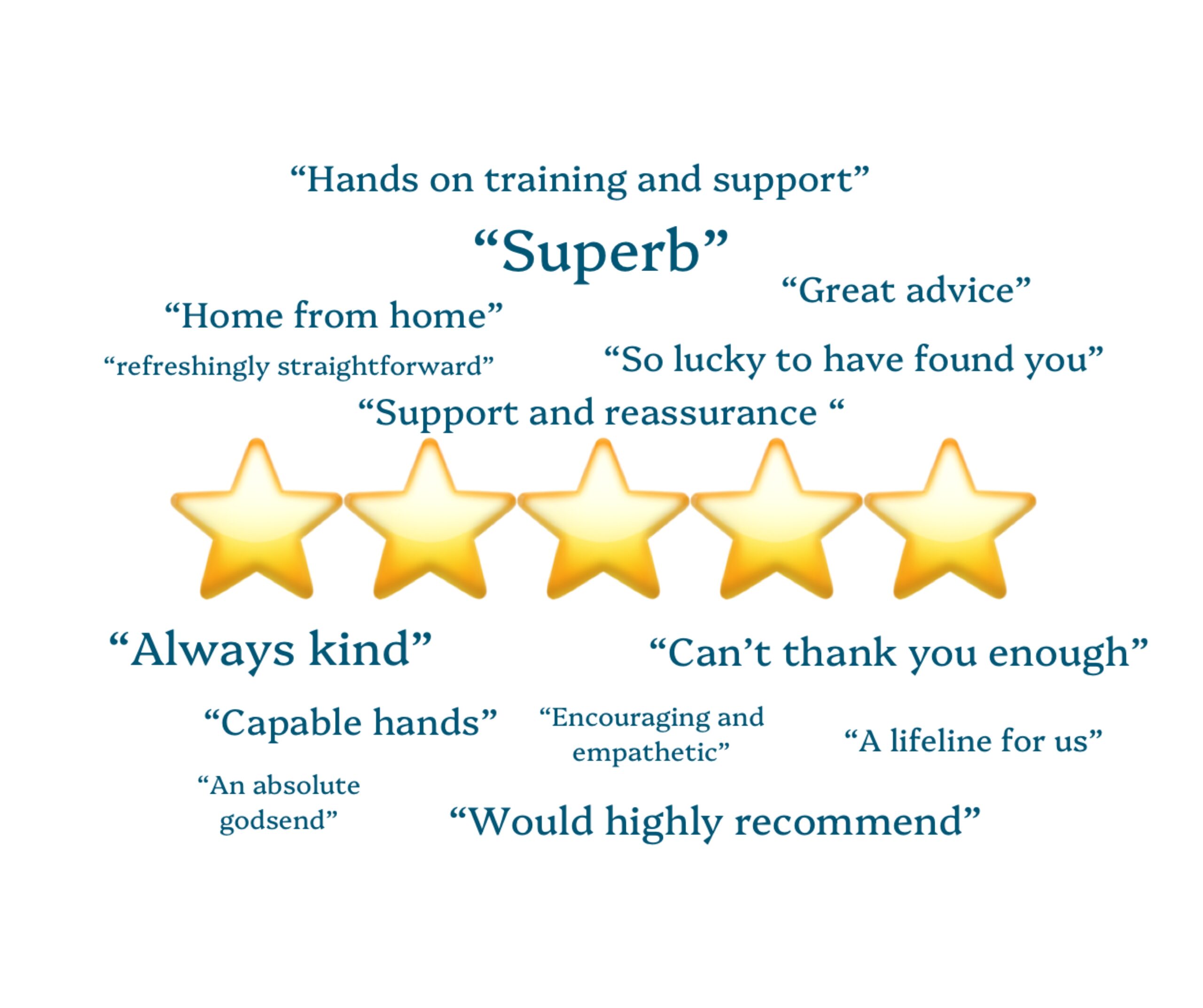 Reviews Give You An Important Insight Into Who We Are And What We Do….Listen To What Our Clients Have To Say