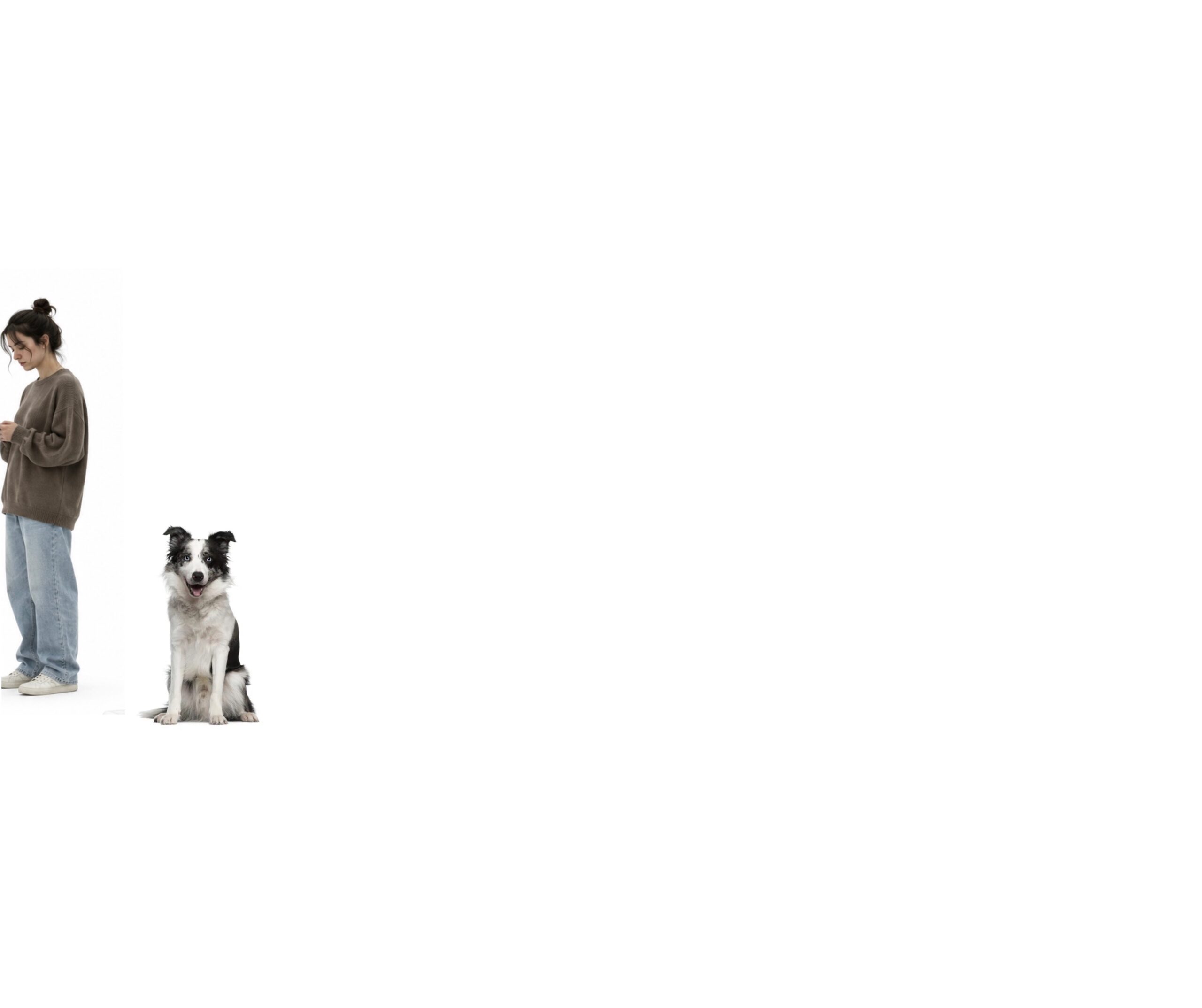 Why the “Invisible Dog” Approach Helps Human‑Wary, Self‑Guarding Dogs